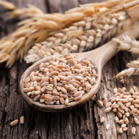 Grains